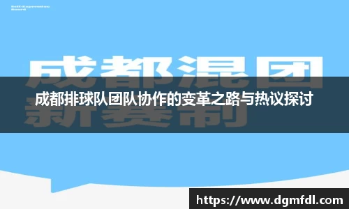 成都排球队团队协作的变革之路与热议探讨